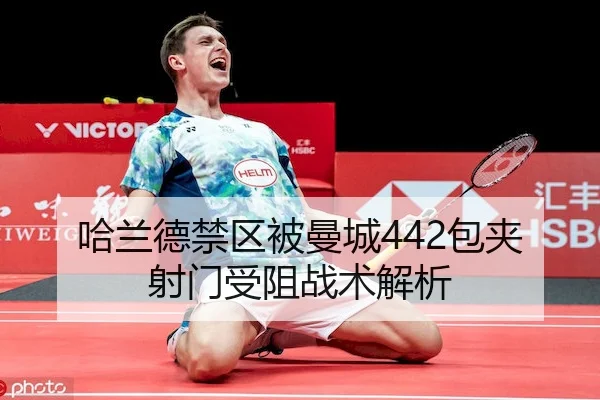 ha-lan-de-jin-qu-bei-man-cheng-bao-jia-she-men-shou-zu-zhan-shu-jie-xi-1-411.jpg